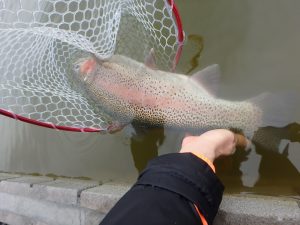 11/23（水）釣果報告の写真