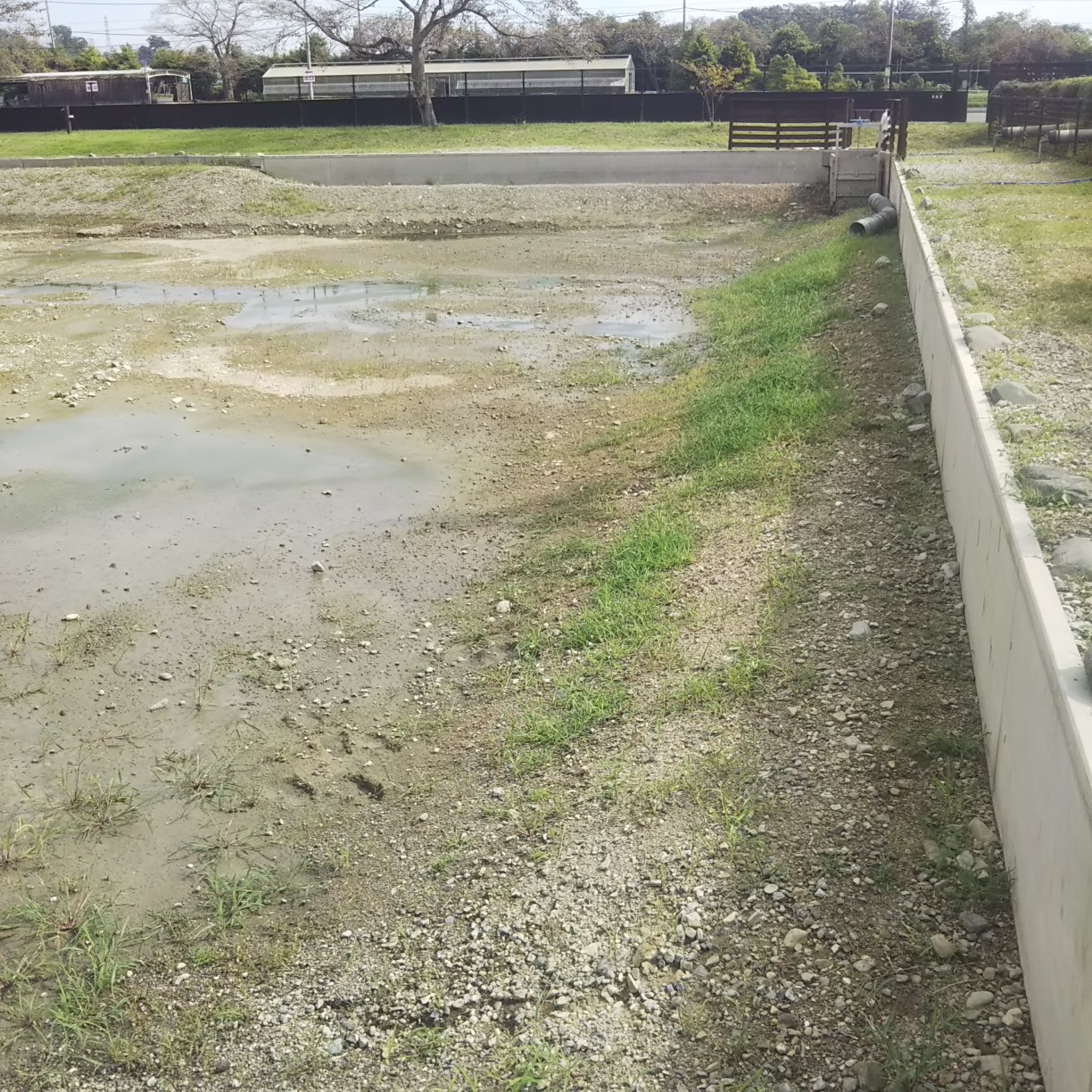 秋川湖の湖底⑤　アウトレット