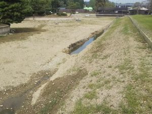 秋川湖の湖底⑦　駐車場側