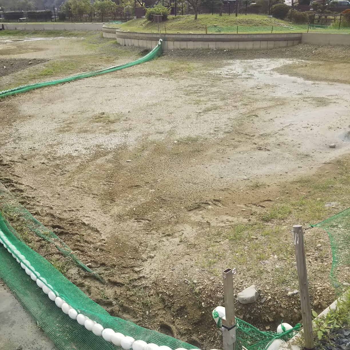 秋川湖の湖底③　ファミリーエリア