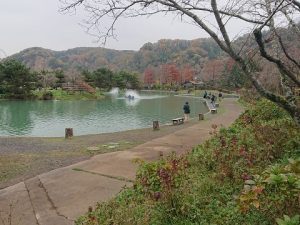 11月27日（水）日記