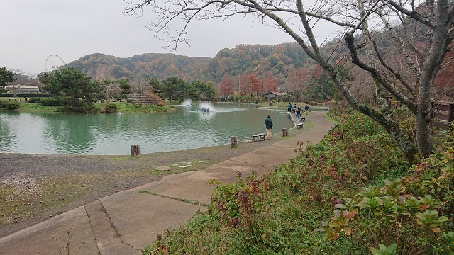 11月27日（水）日記