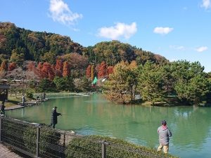 11月29日（金）日記