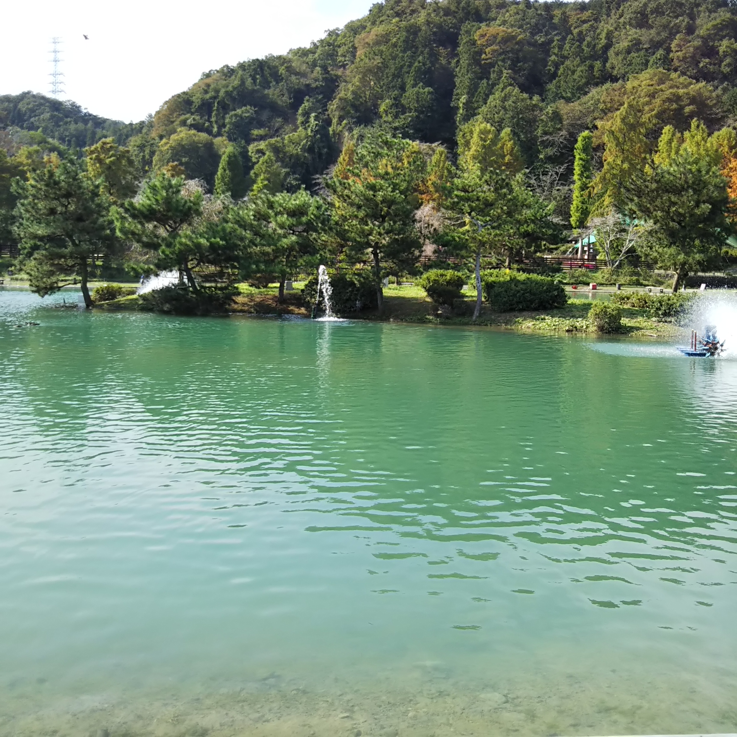 11/2（土）秋川湖の様子