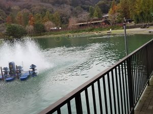 11/3（日）秋川湖の様子