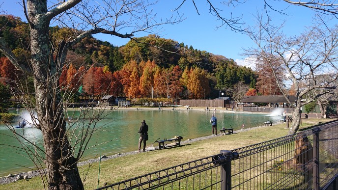 12月3日（火） 日記