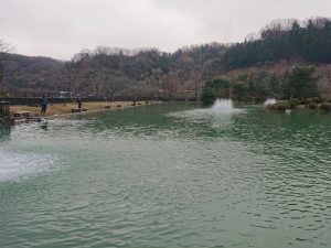 1月8日（水）日記