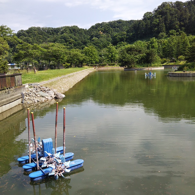 秋川湖の状況　6/12