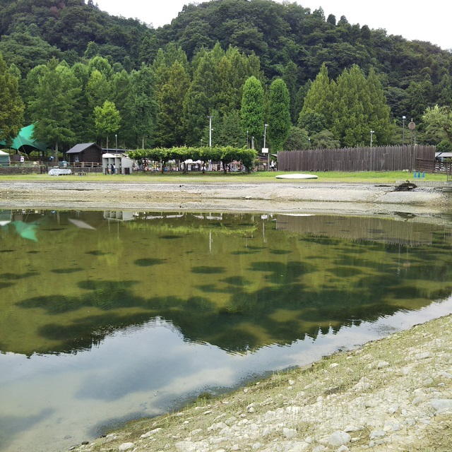 秋川湖の状況　8/20