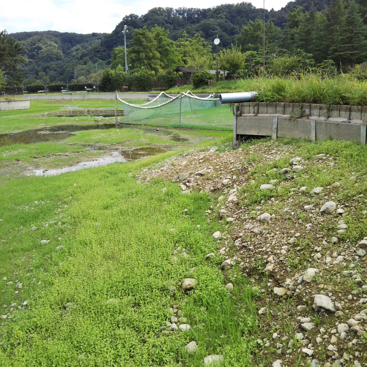 秋川湖に状況　9/25