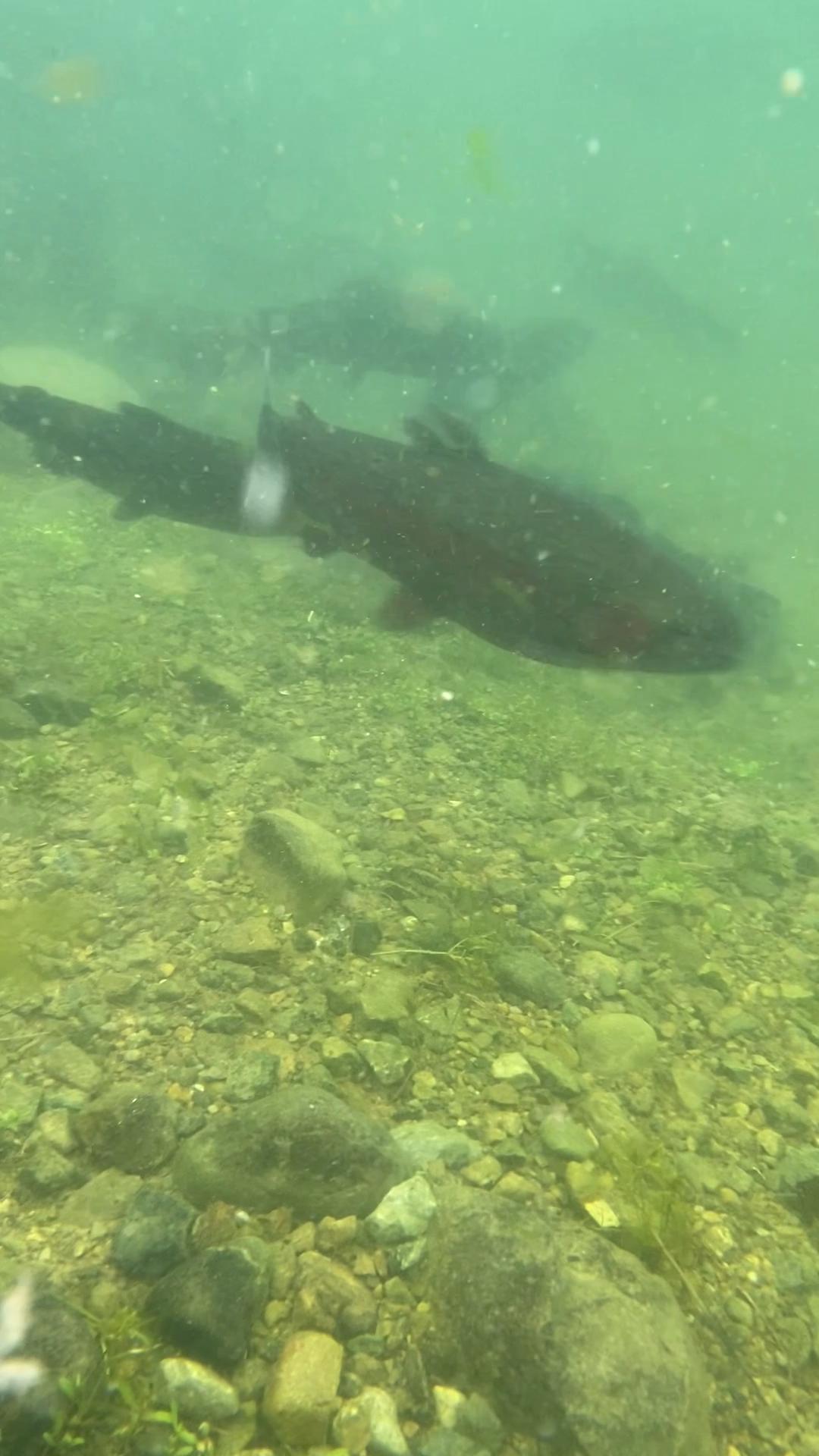 秋川湖の状況　10/15