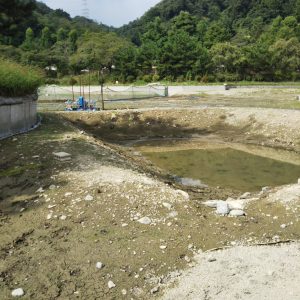 5番爆気深場