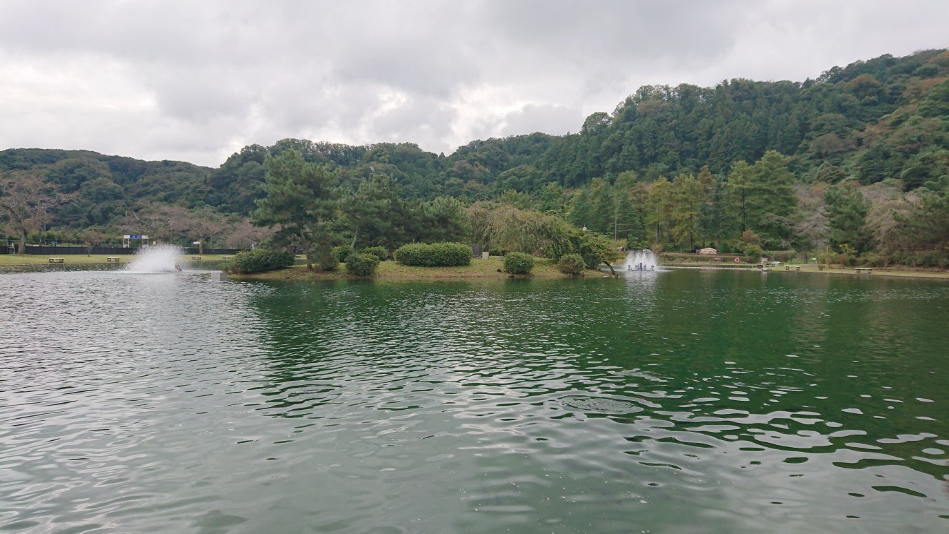 秋川湖の状況 10/18