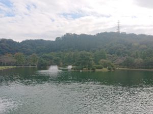 秋川湖の状況 10/19