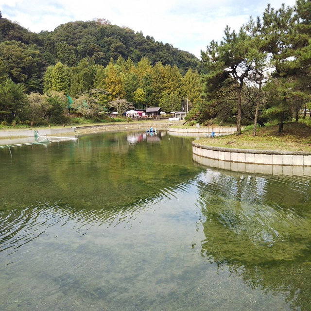 秋川湖の状況　10/8