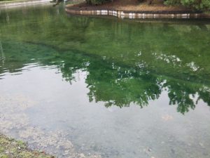 秋川湖の状況　10/10