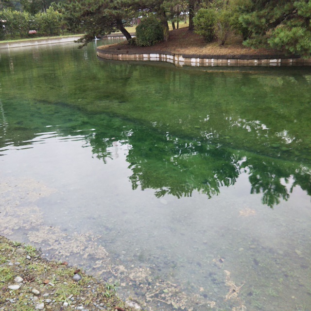 秋川湖の状況　10/10