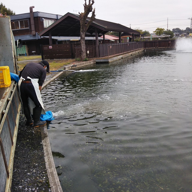 秋川湖の状況　10/17