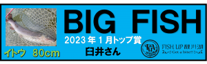 2023年1月ステッカー