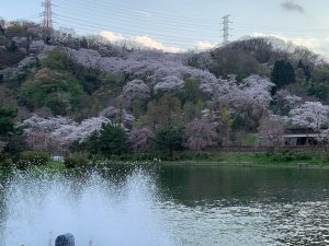 3月29日（水）日記