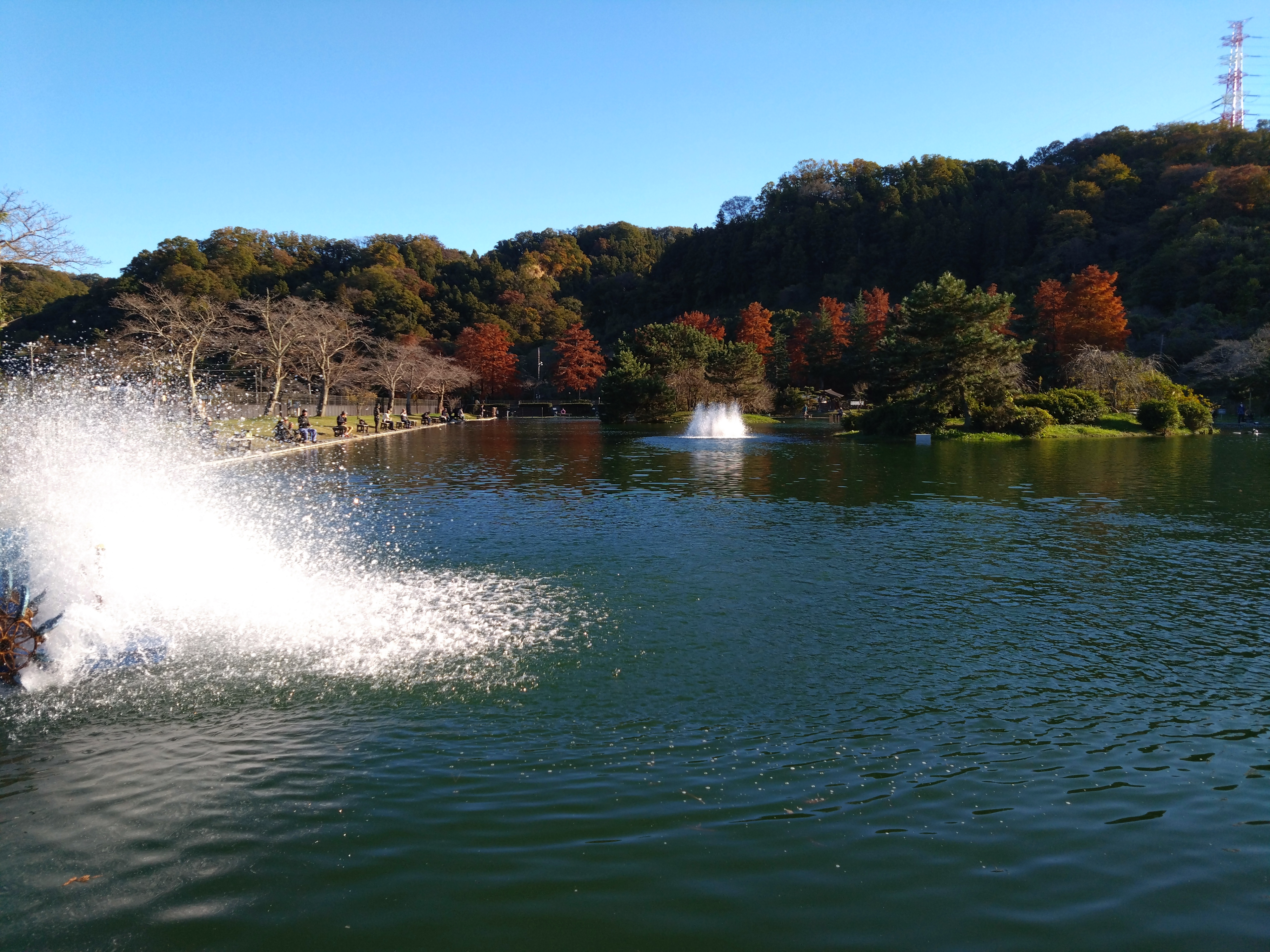 11月13日(月)　日記