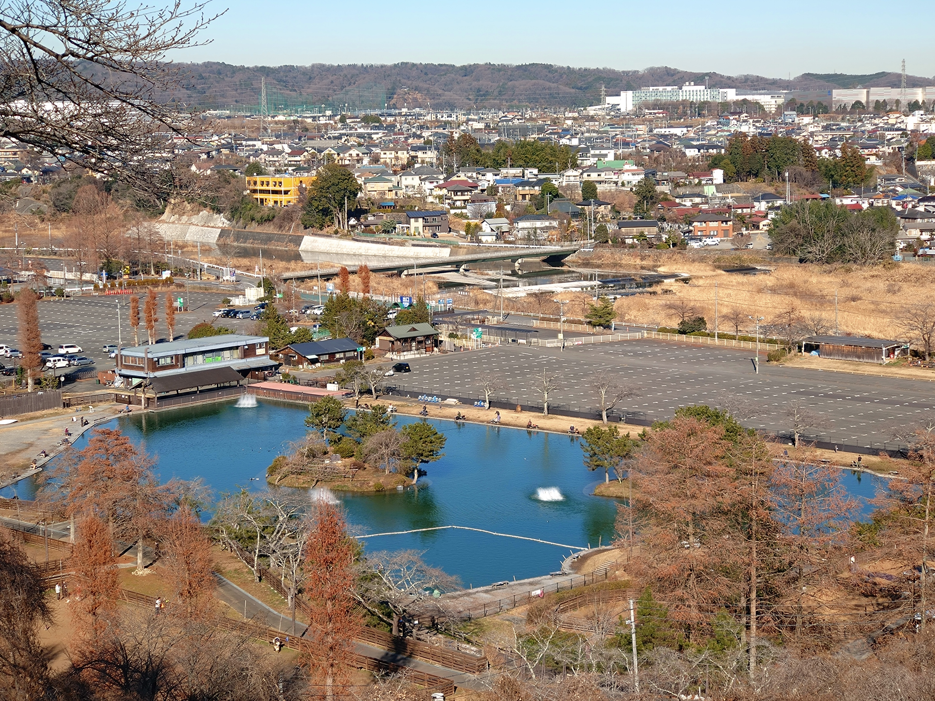 1月12日(金)　日記