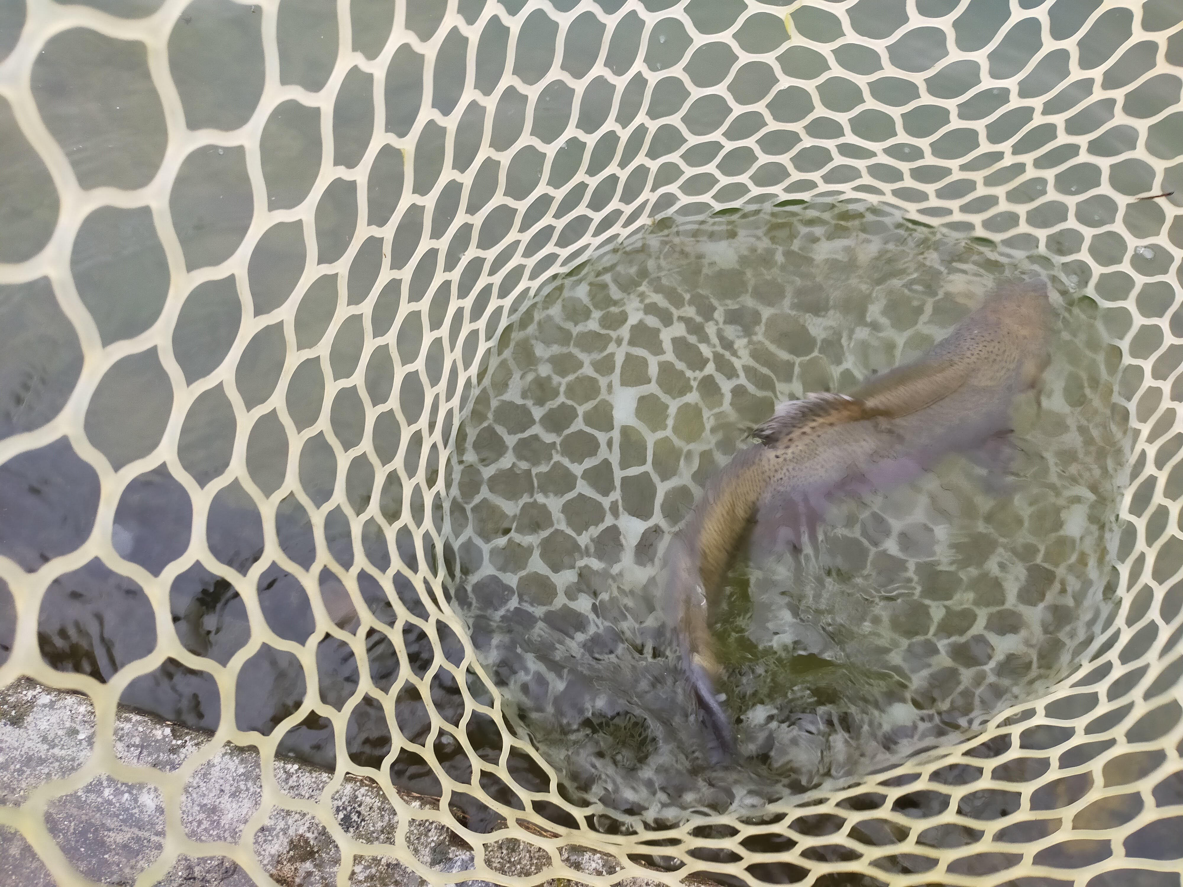 1月10日（水）福生市 マサヒロさん