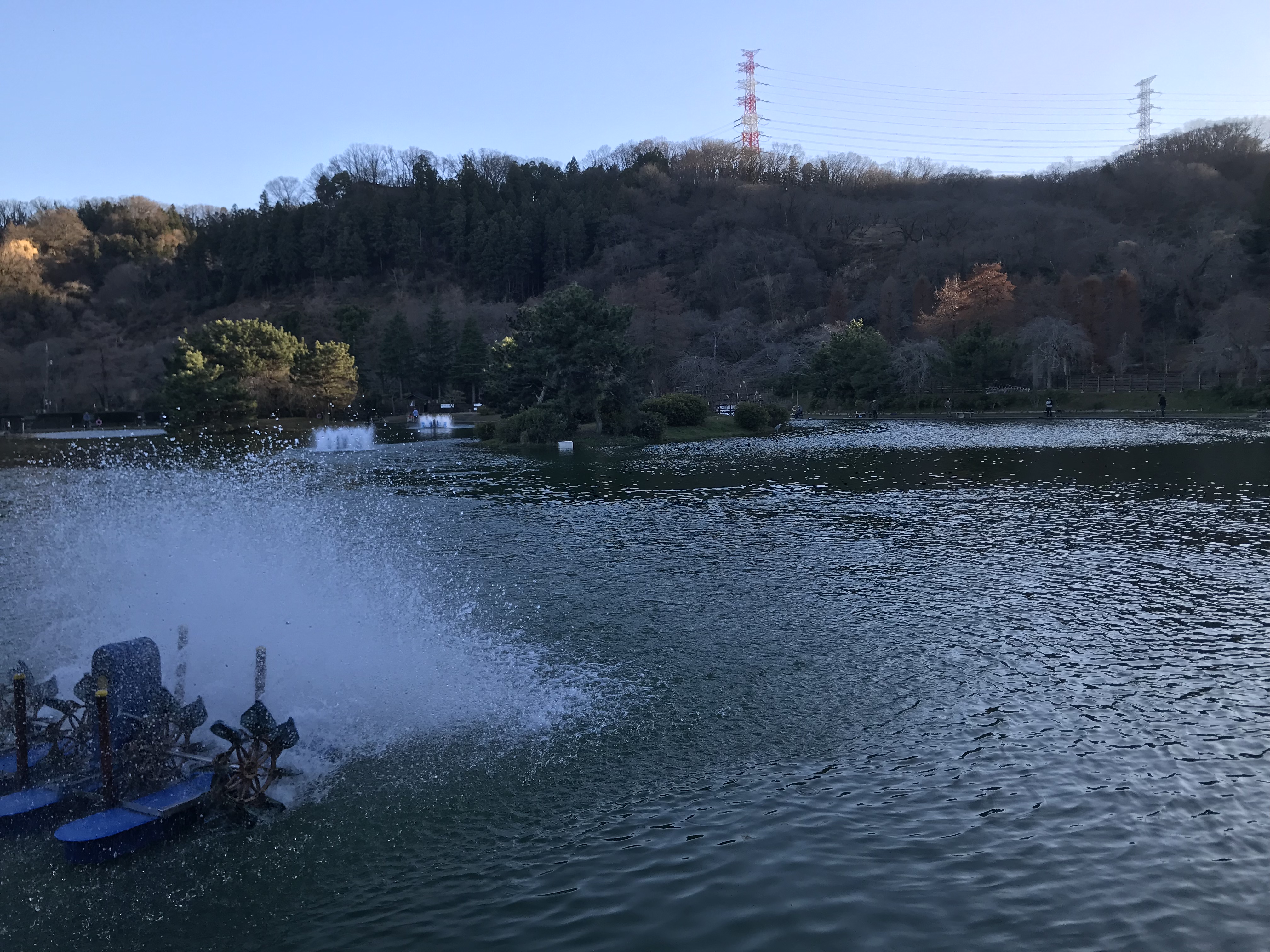 1月4日(木）　日記