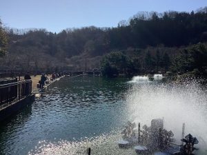 2月3日（土）日記