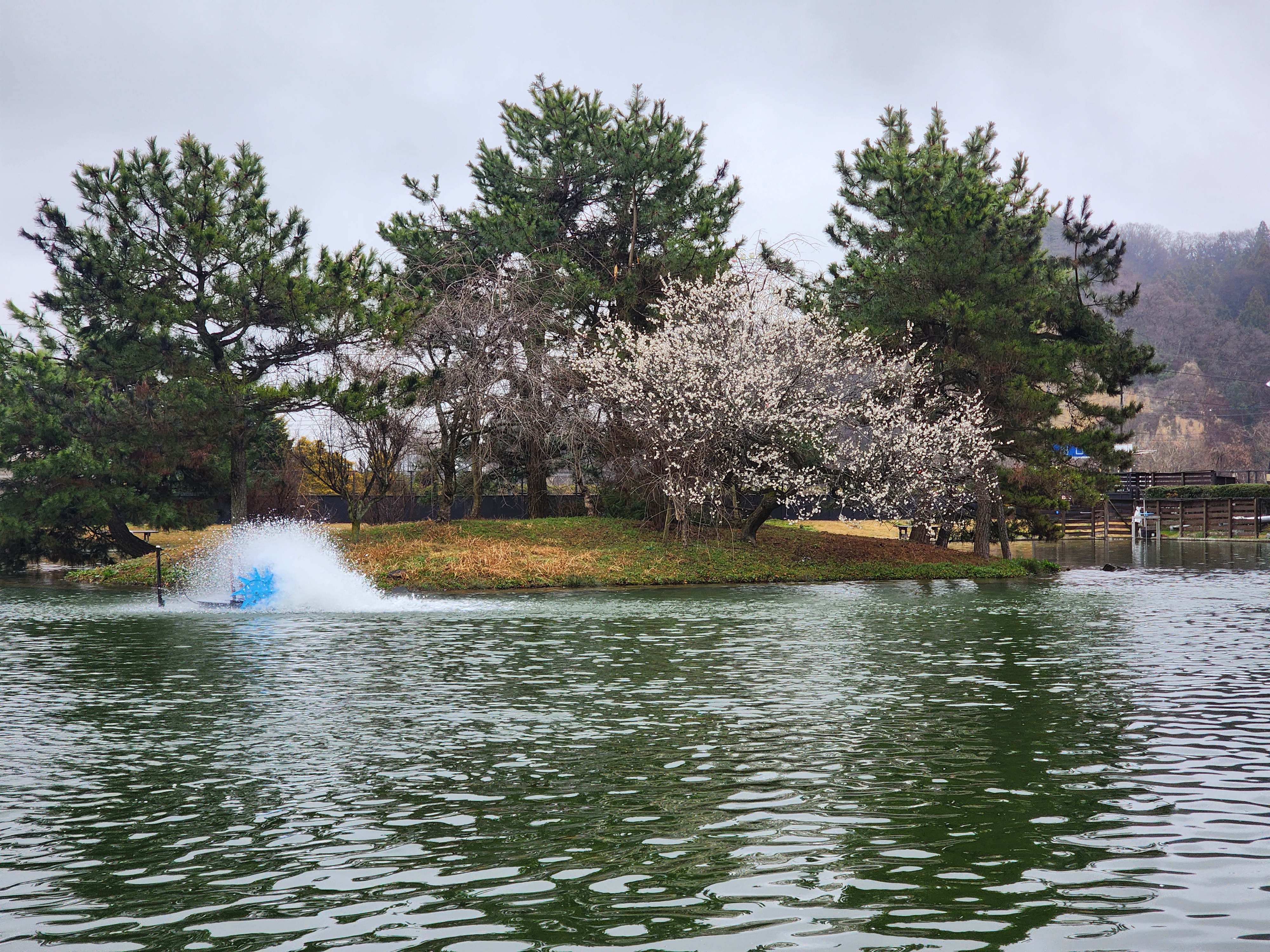 2月21日（水）北区 たてけんさん