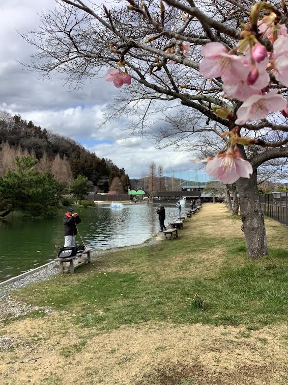 3月1日(金)　日記