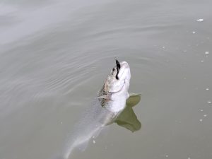 ３月23日（土）稲城市　境さん