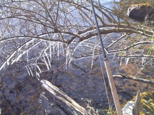 3月29日（金）　三鷹市　くにザイルさん