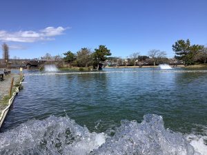 3月2日（土）　日記