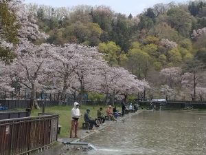 4月12日（金）日記