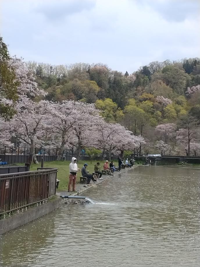 4月12日（金）日記