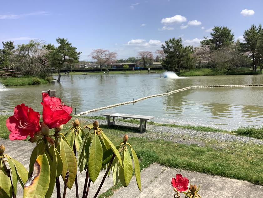 4月16日（火）日記