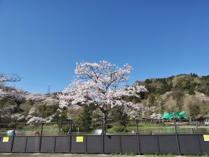 4月10日（水）日記