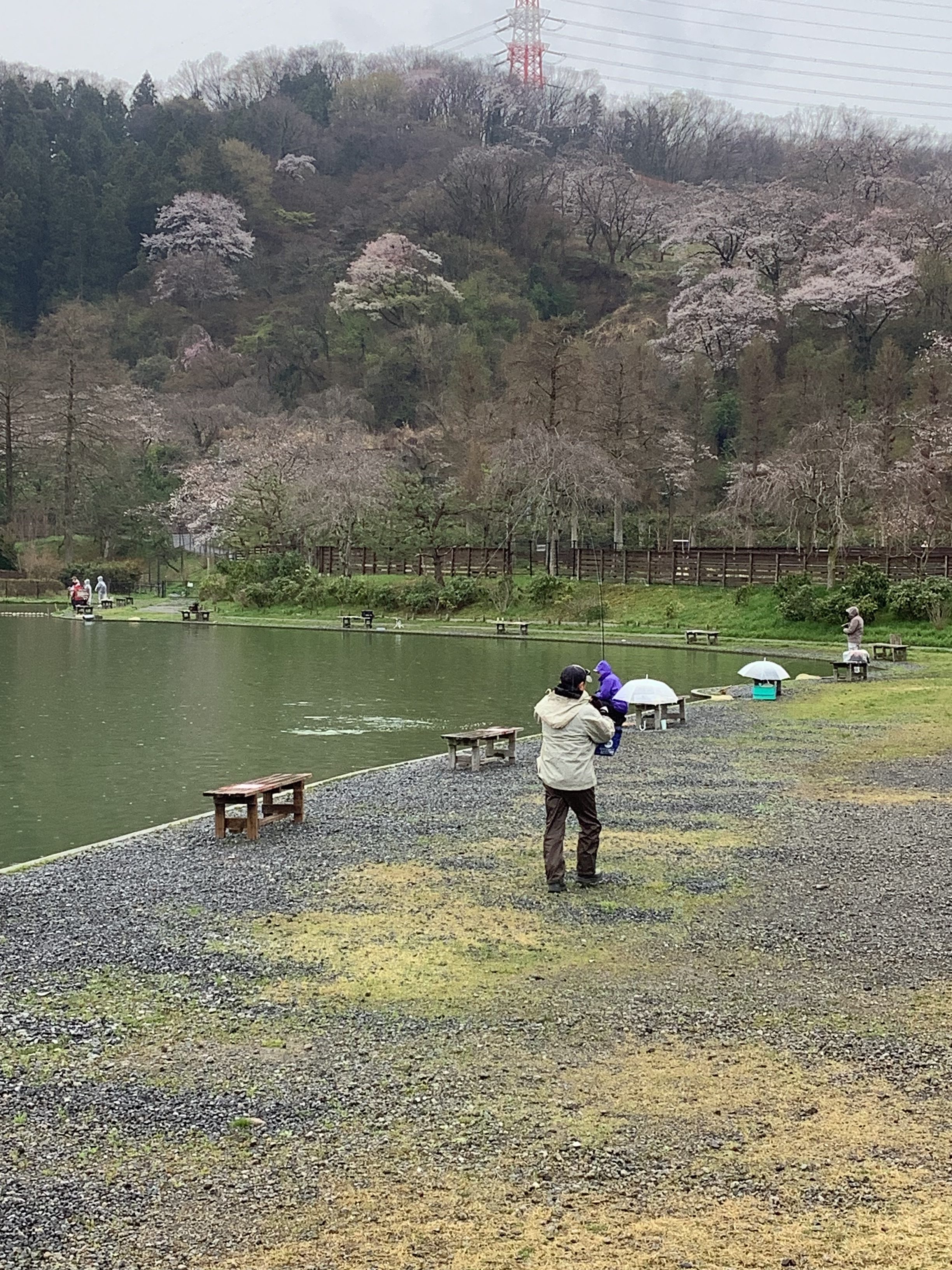 4月3日（水）　日記