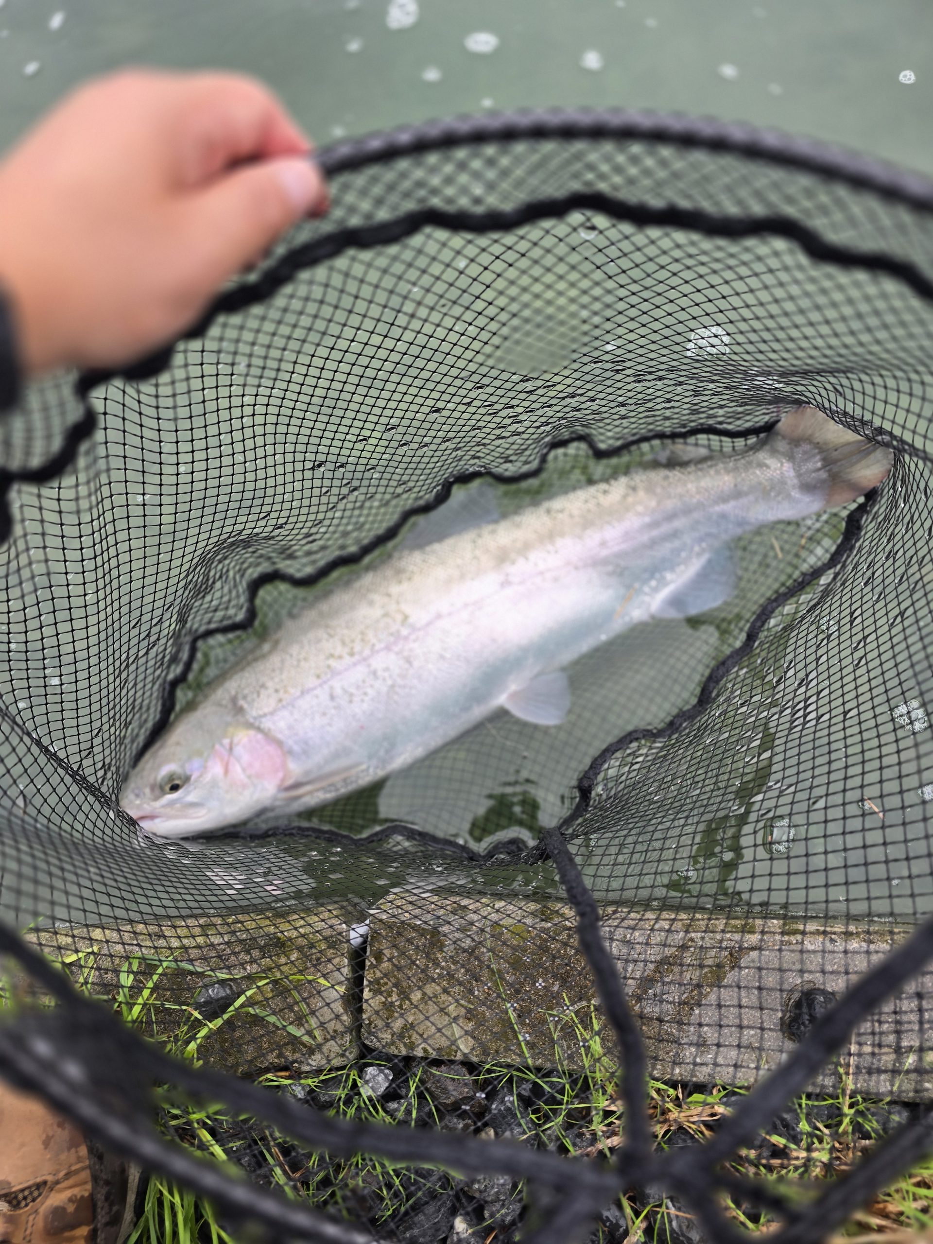 10月23日（水）北区 たてけんさん