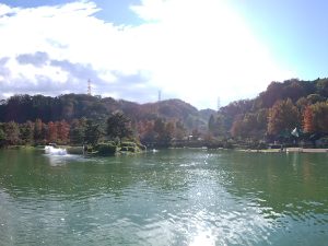 11月11日(月)　日記