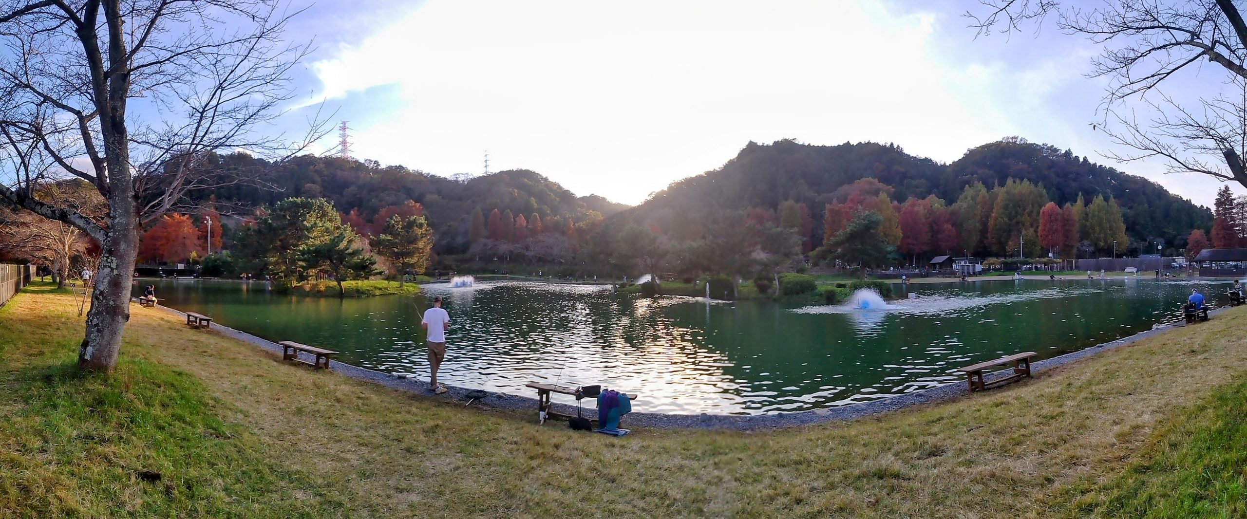 11月17日(日)　日記