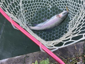 12月1日(日)　羽村市　うにねこ様