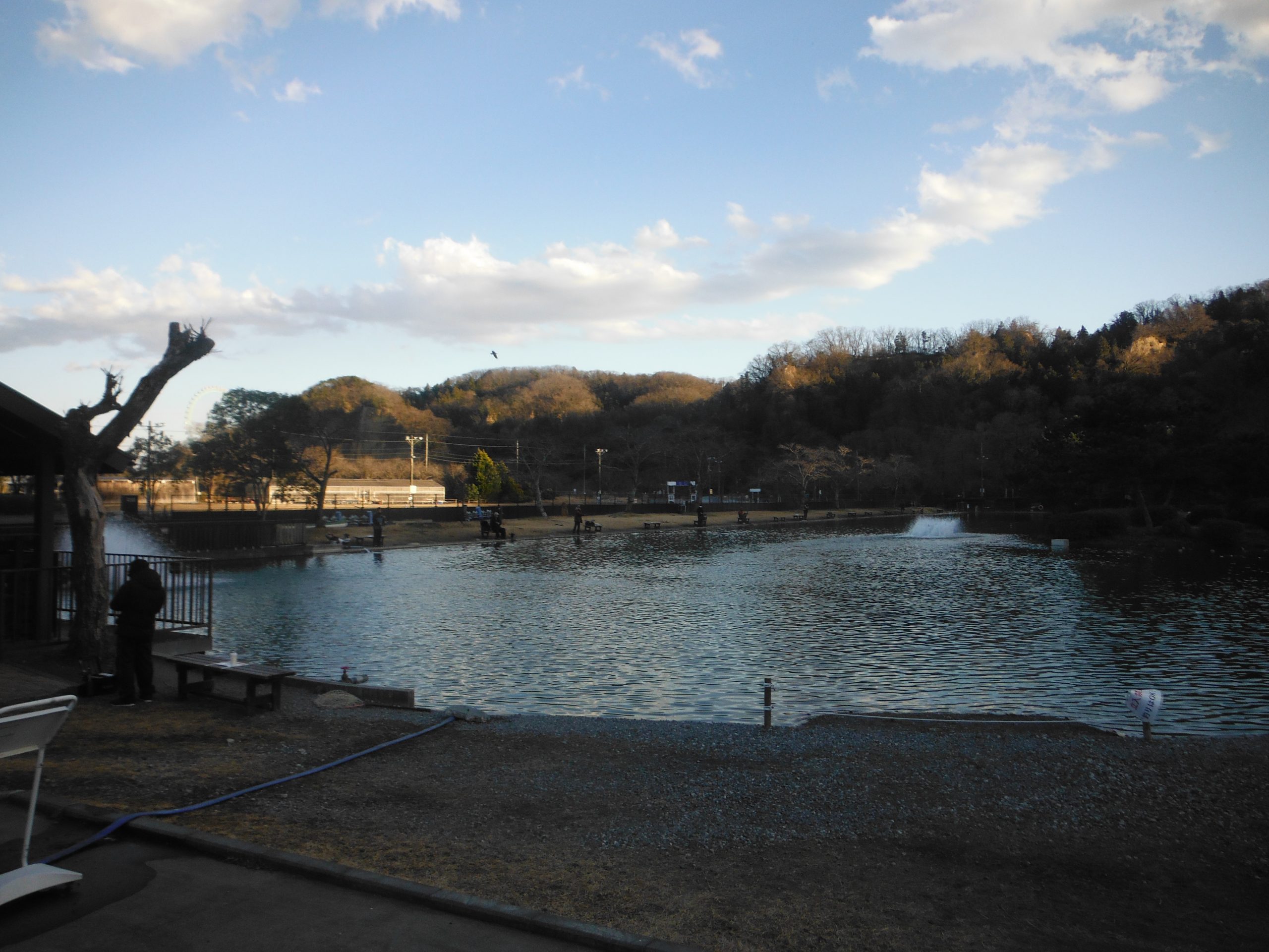 １月１５日（水）　日記