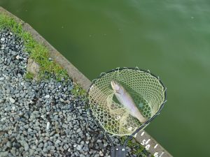 3月20日（木）立川市　たかちゃんさん