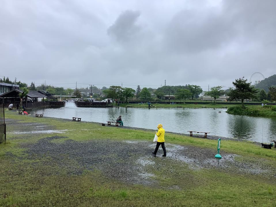 5月6日（火）日記