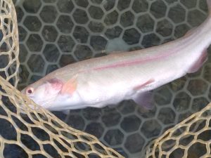 10月31日（金）和光市　かんたさん