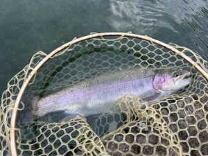 10月31日（金）　平塚市　小川さん