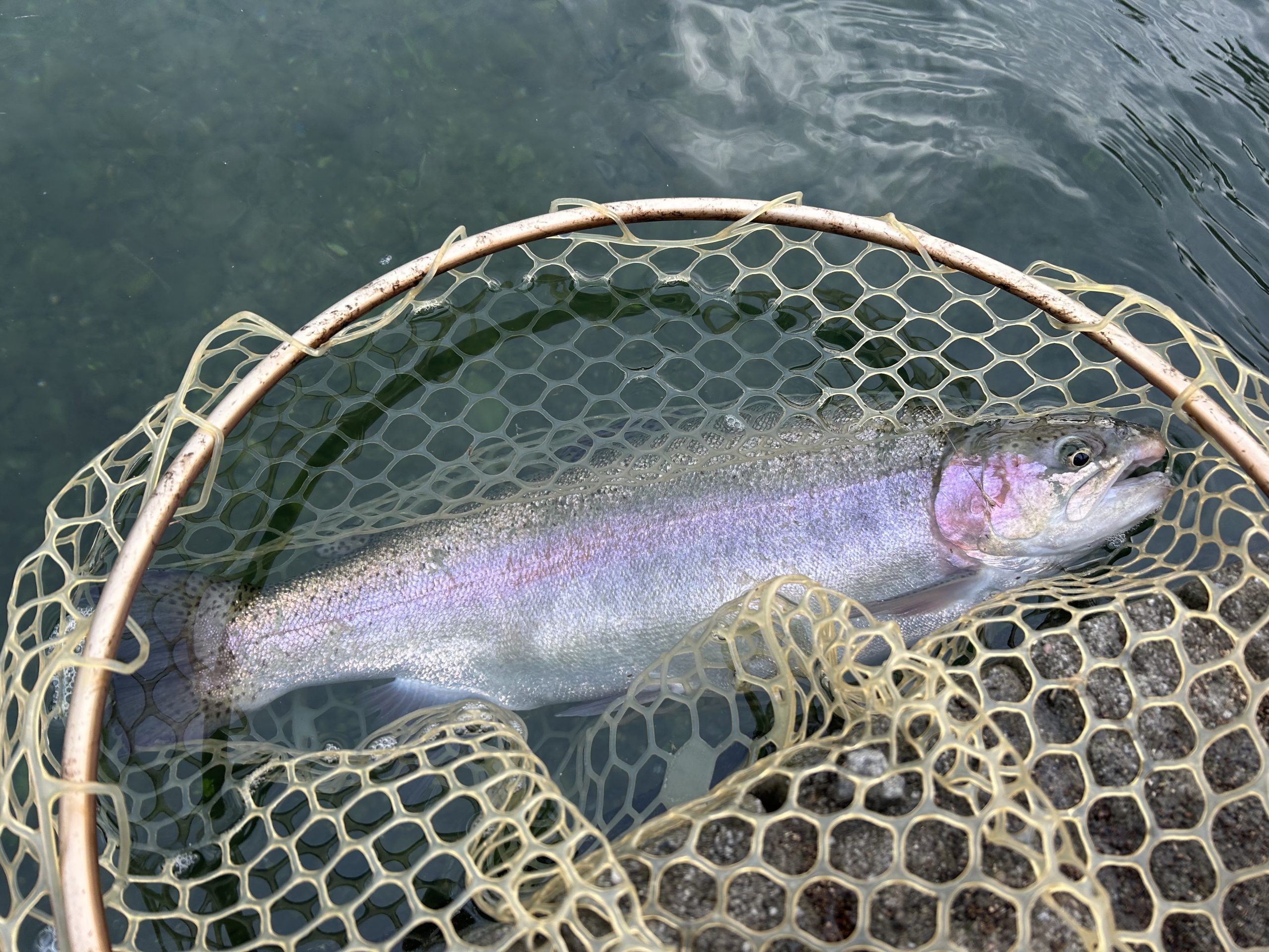 10月31日（金）　平塚市　小川さん