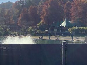 11月17日（月）日記